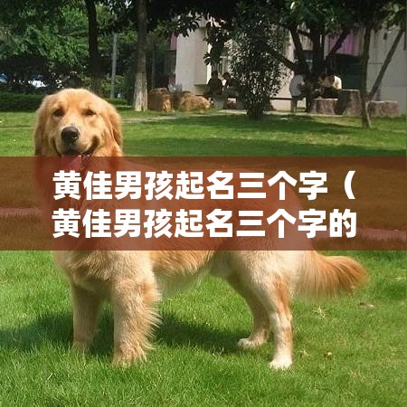 黄佳男孩起名三个字（黄佳男孩起名三个字的名字）