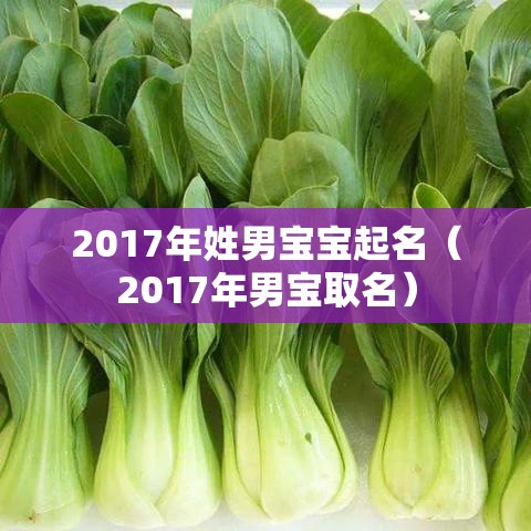 2017年姓男宝宝起名（2017年男宝取名）