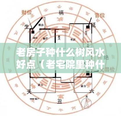 老房子种什么树风水好点（老宅院里种什么树）