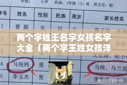 两个字姓王名字女孩名字大全（两个字王姓女孩洋气的名字）