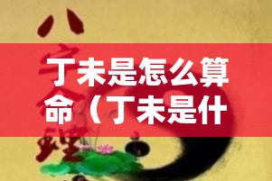 丁未是怎么算命（丁未是什么）