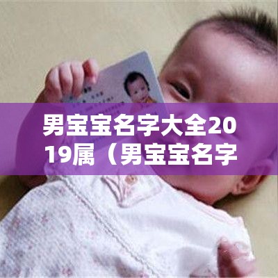 男宝宝名字大全2019属（男宝宝名字大全2019属兔）