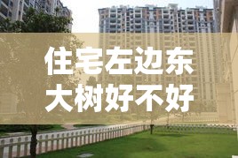 住宅左边东大树好不好（房子东面有棵大树好吗）