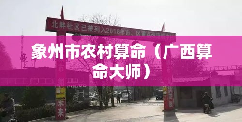 象州市农村算命（广西算命大师）